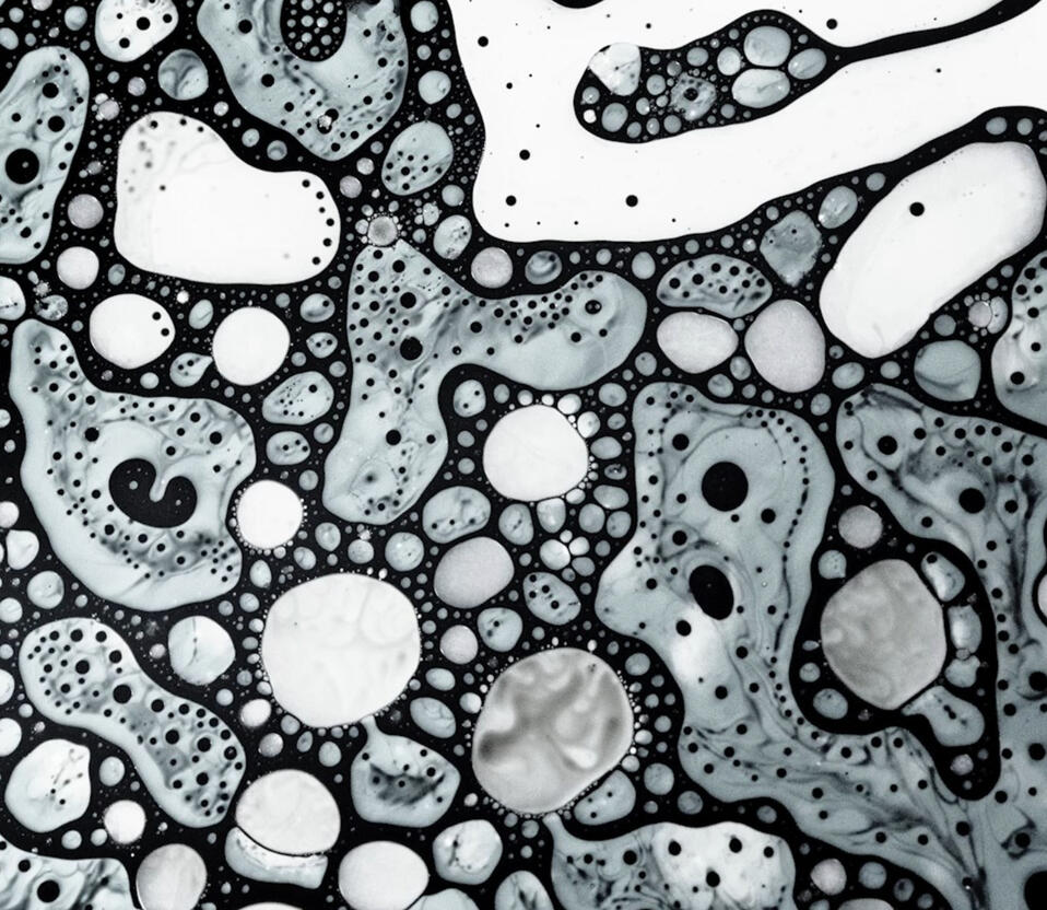 an old paper i wrote